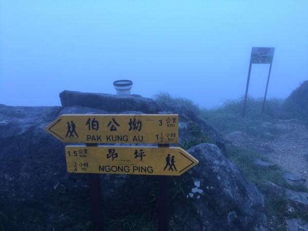 逃离阴暗的房屋